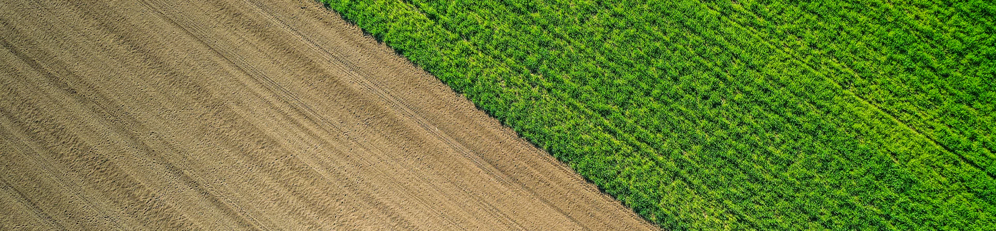 Agri & Foods
