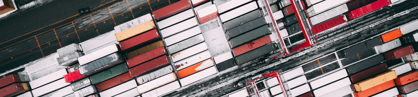 WTO & International Trade